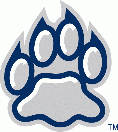 New Hampshire Wildcats 2000-Pres Alternate Logo t shirts DIY iron ons v3
